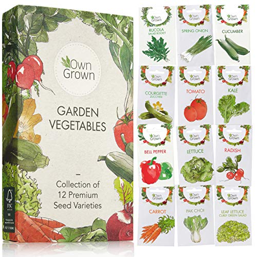 Gardening Vegetable Seed Set 12 Varieties Of Garden Vegetables As Practical