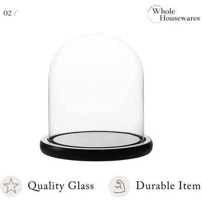 Decorative Clear Glass Dome/Tabletop Centerpiece Cloche Bell Jar Display Case