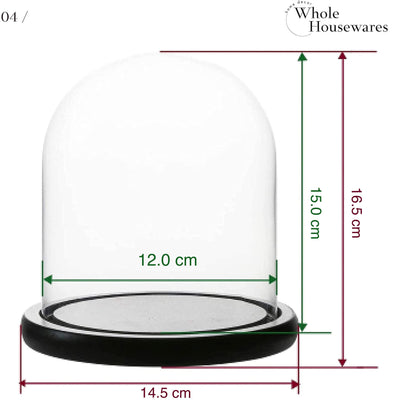 Decorative Clear Glass Dome  Cloche Glass Dome For Diy Snow Globes