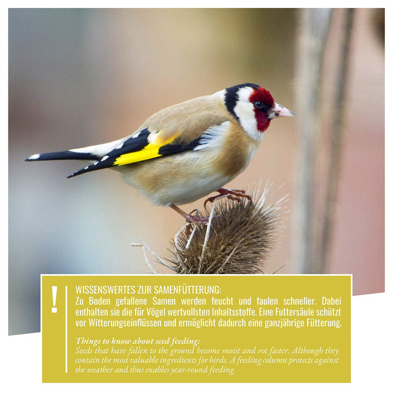 Wild Heart Animal I 21 Feeding Column Niger Seeds Black For Goldfinch  Siskin  5
