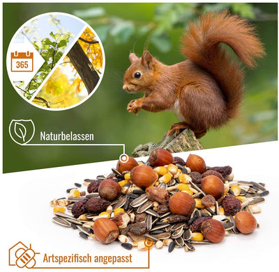 [1Kg] Squirrel Food Mix For Red Squirrels I Squirrel Feed With Hazelnuts, Corn