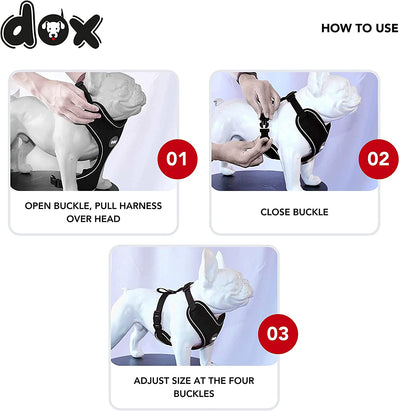 Ddoxx Dog Harness Nylon, Step-In, Reflective, Adjustable | Many Colors & Sizes |