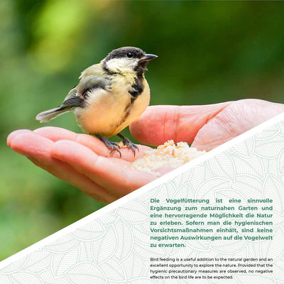 Bird Feeder With Xl Feeding Plate - Bird Feeding Station For Seeds, Wild Birds And Other