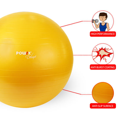Gymnastic Ball Deluxe Yoga Birthing Stability Ball Exercise Ball For Strength