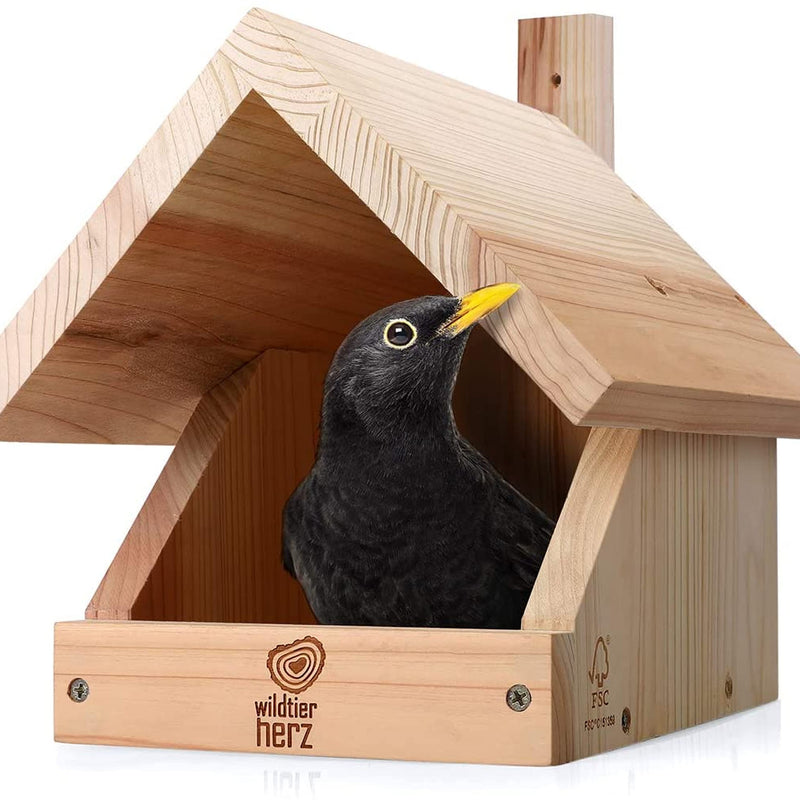 I Blackbird Nesting Box Made Of Screwed Solid Wood  Weatherproof