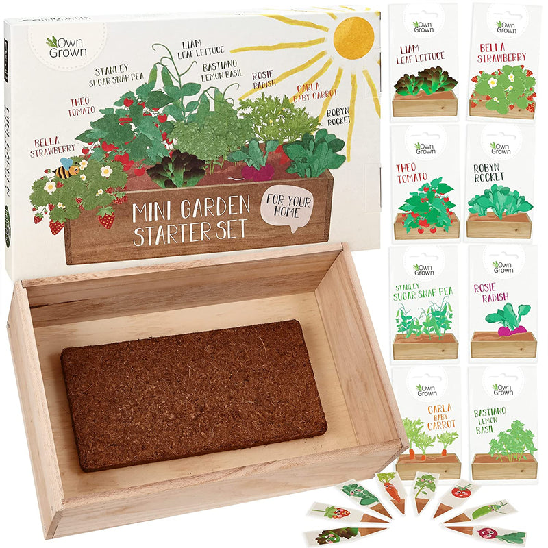Kids Gardening Set: Premium Kids Seed Starter Kit With Vegetable Seeds, Strawberry Seeds