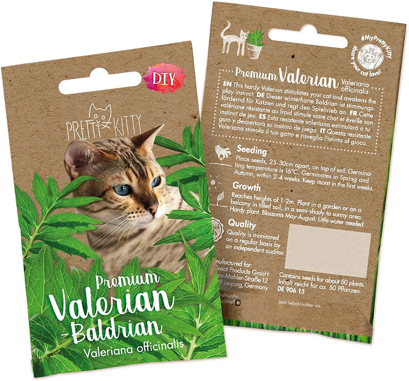 Valerian Seeds: Premium Valerian Plant Seeds For Cats To Grow Approx. 50 Hardy Valerian