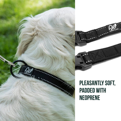 Adjustable Dog Collars - Reflective Padded Dog Collar With Strain Relief