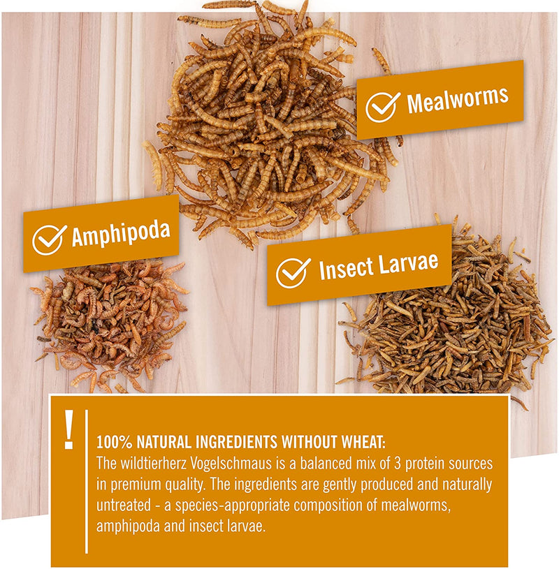 Bird Feast - Premium Insect Mix 2.5 Liters I Dried Mealworms, Insect Larvae And Gamarus