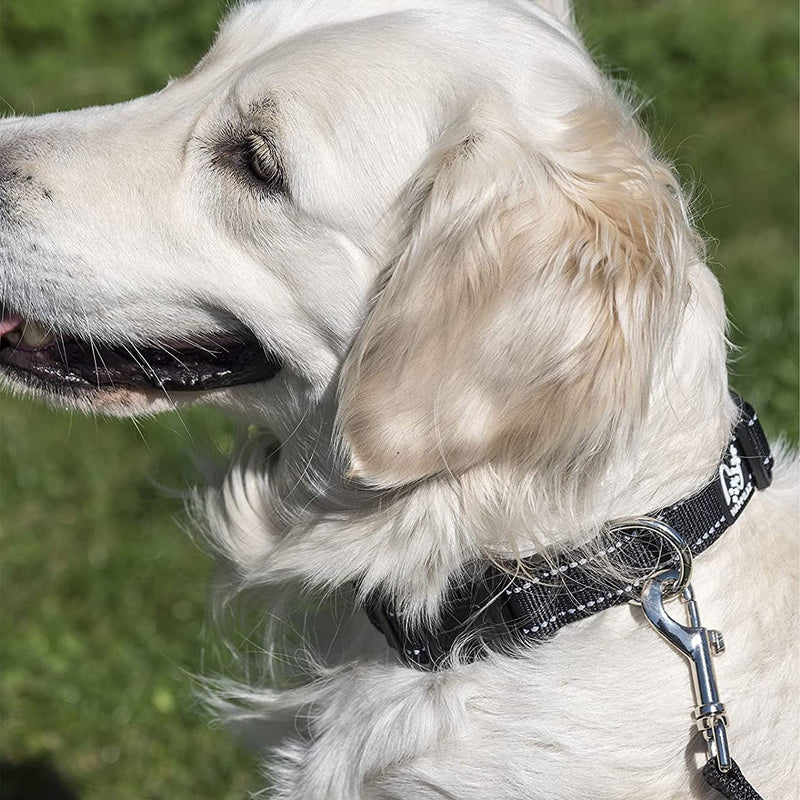 Size-Adjustable Dog Collar- Reflective Nylon Dog Collar For Large Dogs - Neck