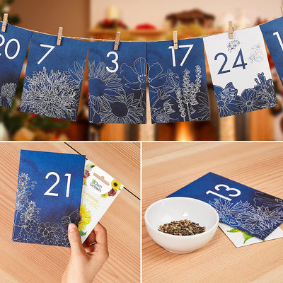 Seeds Advent Calendar 2021: Beautiful Festive Garden Advent Calendars With Herb Seeds