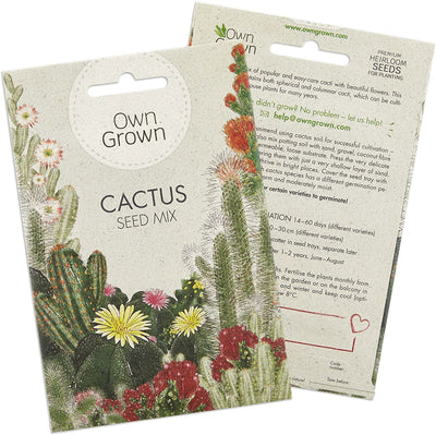 Cactus Seeds Mix: Colourful Premium Succulent Seeds Mix To Grow Your Own Succulent Plants