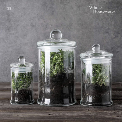 Glass Apothecary Jars With Lids  Set Of 3  Small Glass Jars For Kitchen