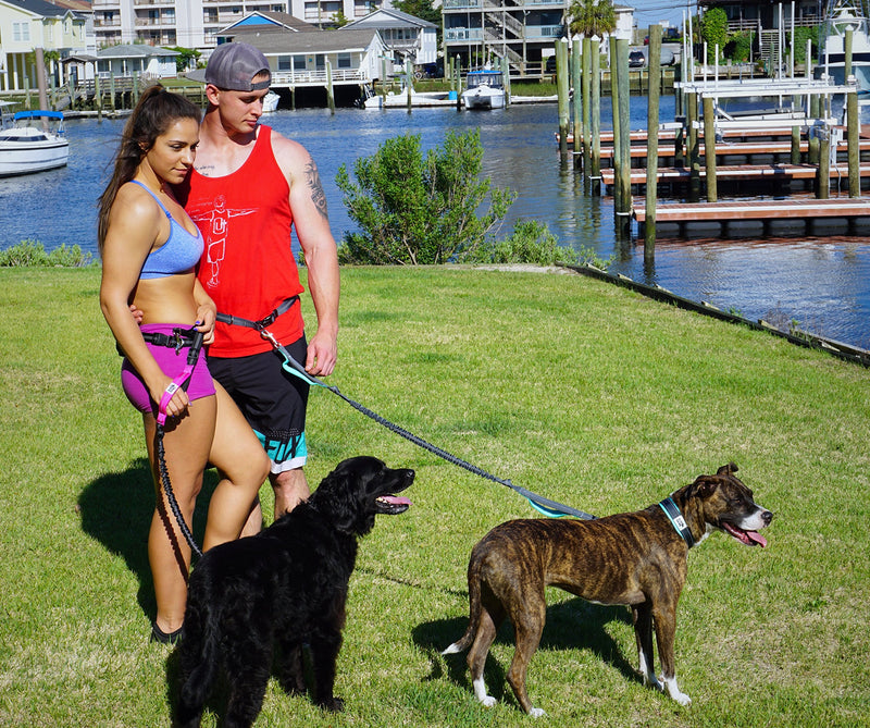Hands Free Dog Leash For Running Walking Jogging & Hiking