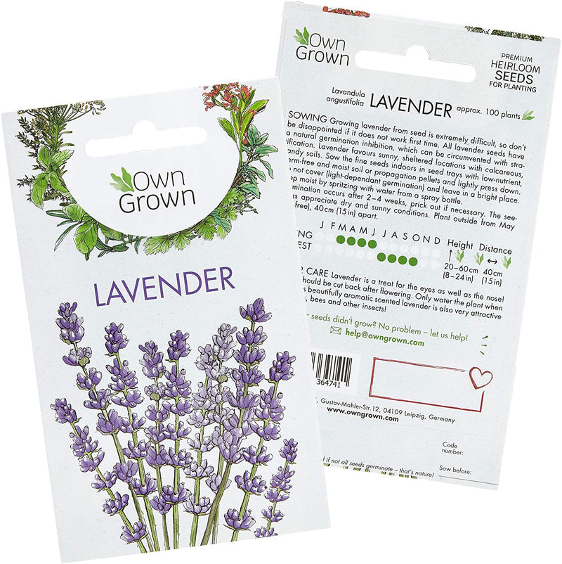 Lavender Plant Seeds: Premium Perennial Lavender Seeds For Ca 100 Lavender Plants Outdoor